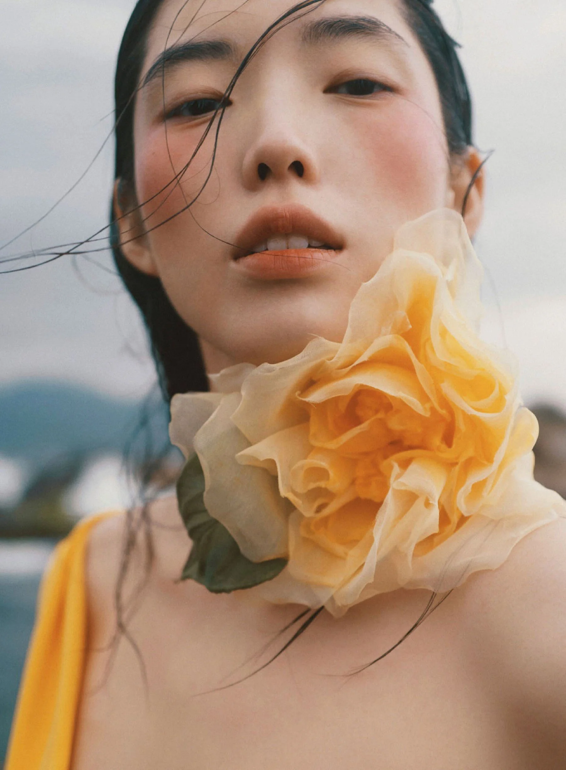 【新品未開封】【レコード】 Liquid Yellow Portraits Amazon.com: Environmental Technology Castin'Craft Opaque